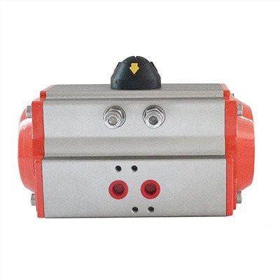 Tổ chức truyền động số hành động kép